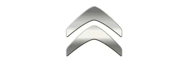 Werkzeuge für Citroen