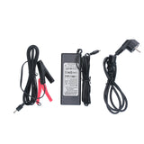 Pompa elettrica da 12 V Pompa per fusti AdBlue Pompa di alimentazione urea Ugello di dosaggio Tubo flessibile